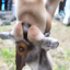 Random image 2