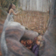 Random image 3