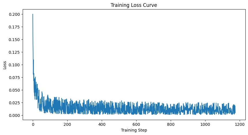 Training loss curve